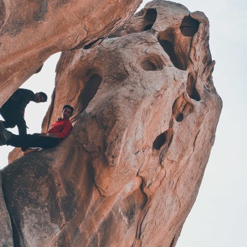 Photo #4152156