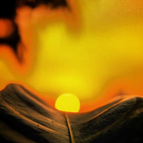 Photo #4152272