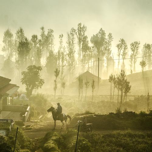 Photo #4152276