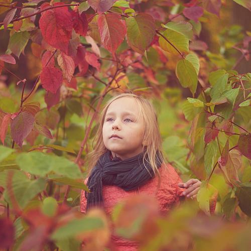 Photo #4152585