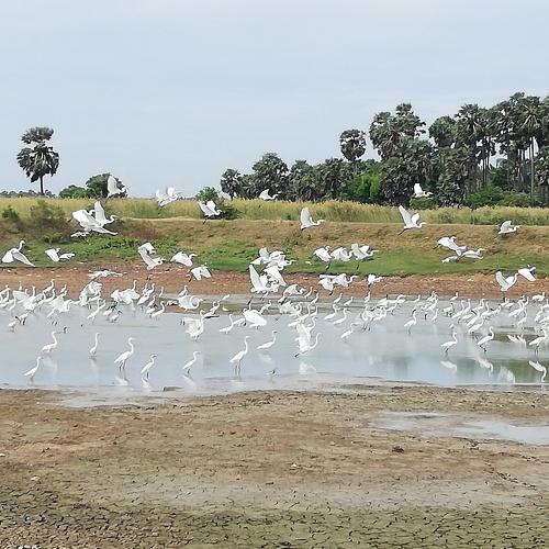 Photo #4153009