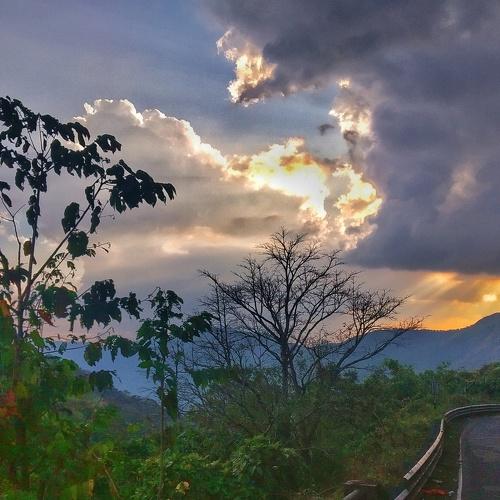 Photo #4153745