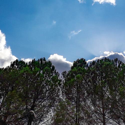 Photo #4153938