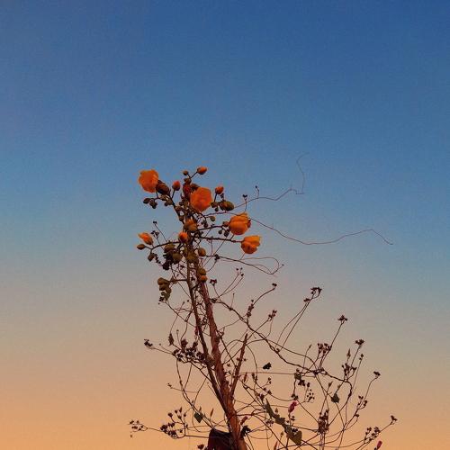 Sunset in the hill