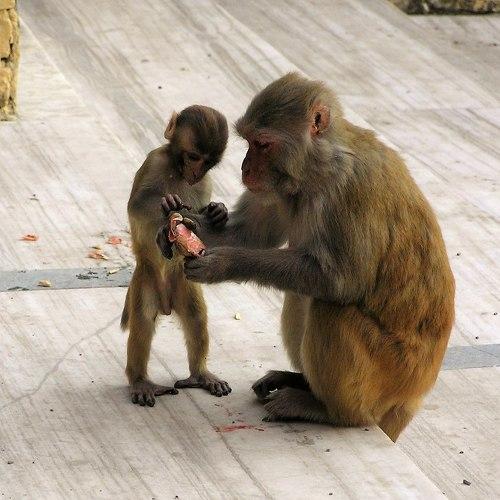 Photo #4154224
