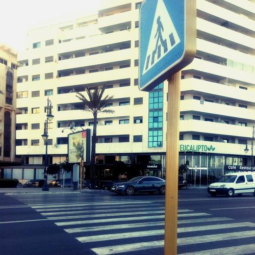 Photo #4154228