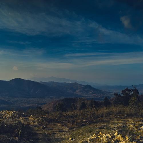 Photo #4154454