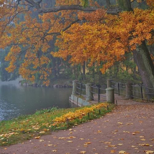 Пирс в Екатерининском парке , Царское Село .
