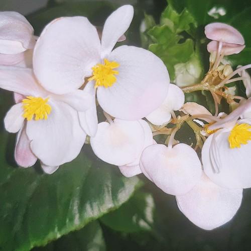 Photo #4154554