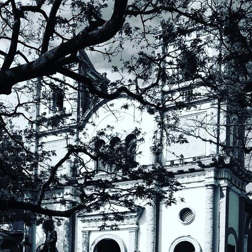 Photo #4154556
