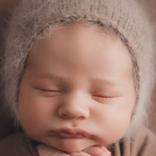 Photo #4154683