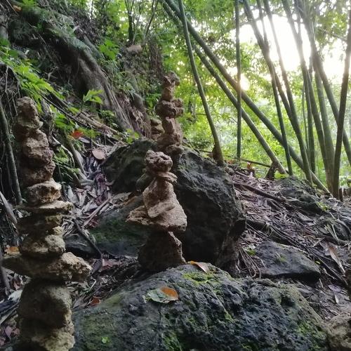Photo #4154773