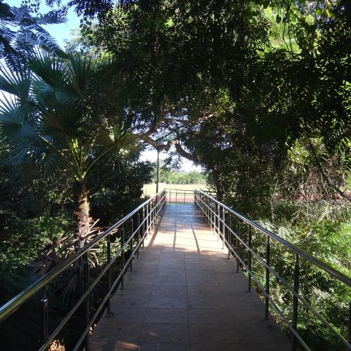 Photo #4155048