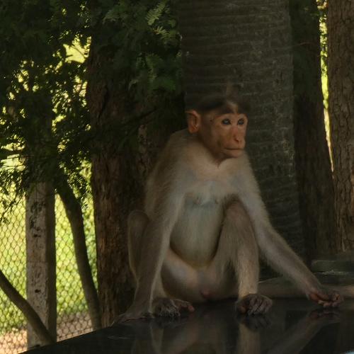 Photo #4155055