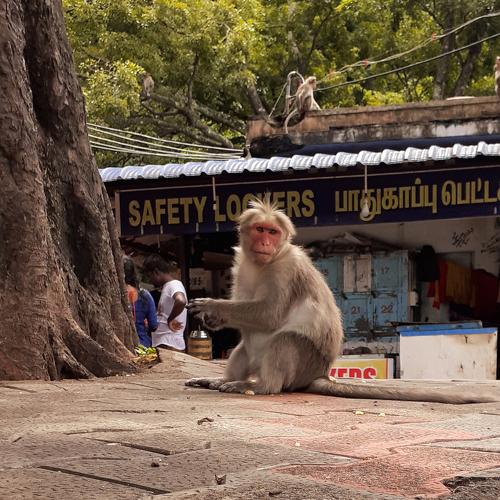 Photo #4155058