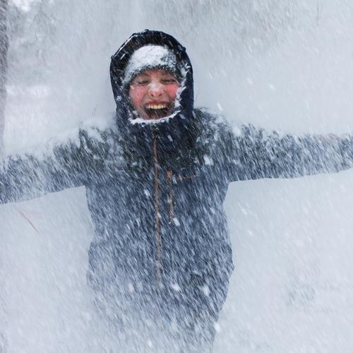 Photo #4155290
