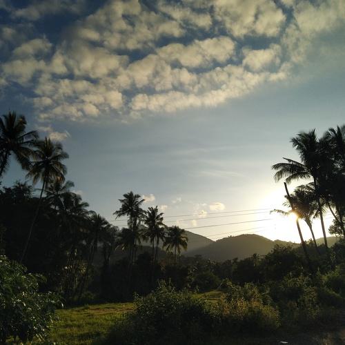 Photo #4155669