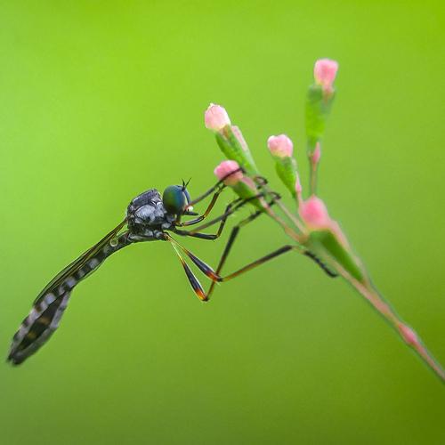 Photo #4155695