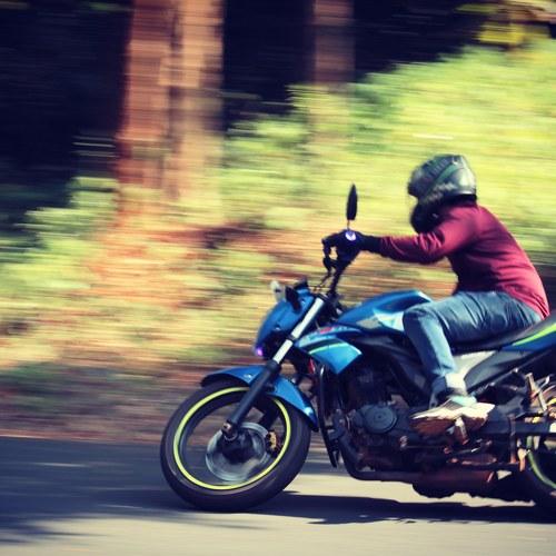 Photo #4155734