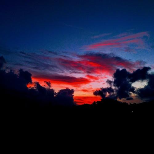 Photo #4155862
