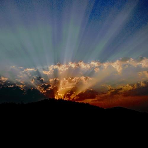 Photo #4155910