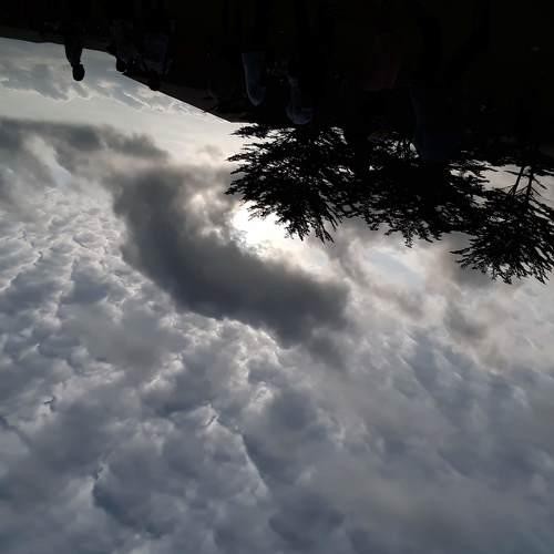 Work of nature