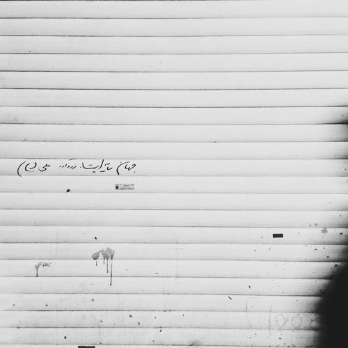 Photo #4156373