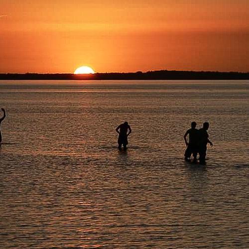 Photo #4156500