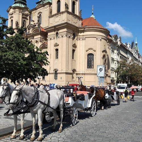 Photo #4156516