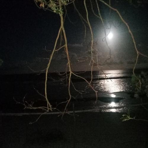 Photo #4156827
