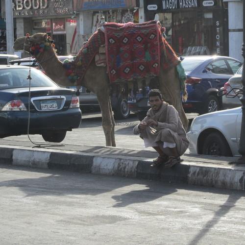 Photo #4156883