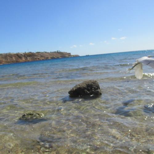 Photo #4156935