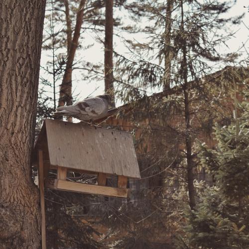 Photo #4157180