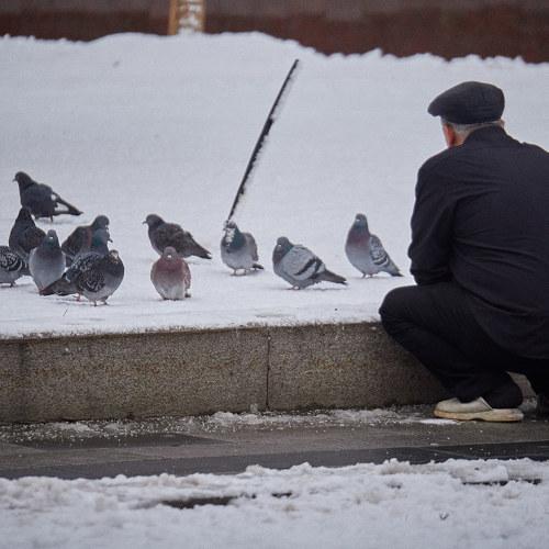 Photo #4157356