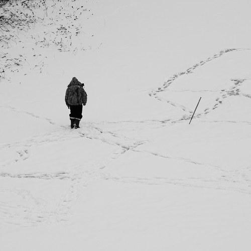 Photo #4157362