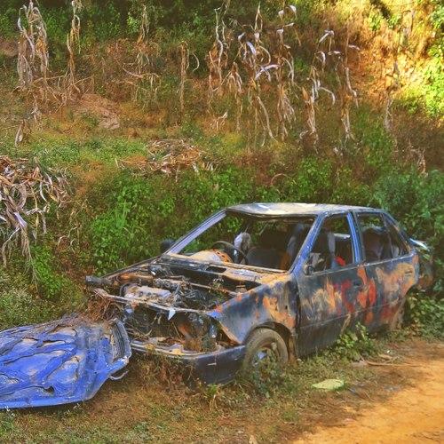 Photo #4157586