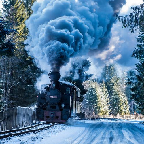 Winter în BUCOVINA