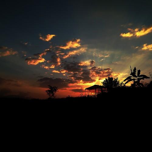 Photo #4157639