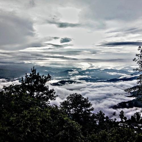Photo #4157653