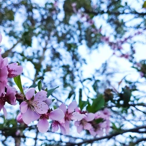 Photo #4157877