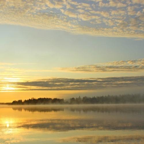 Photo #4158086