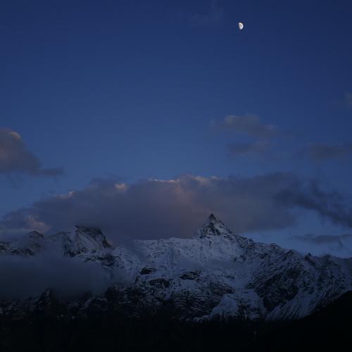 Photo #4158258