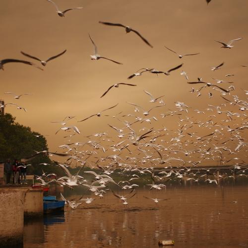 Photo #4158372