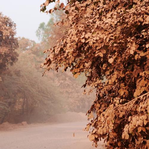 Photo #4158416