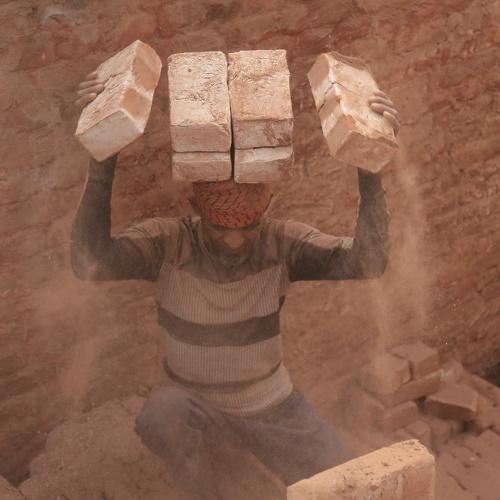 Bricks and life