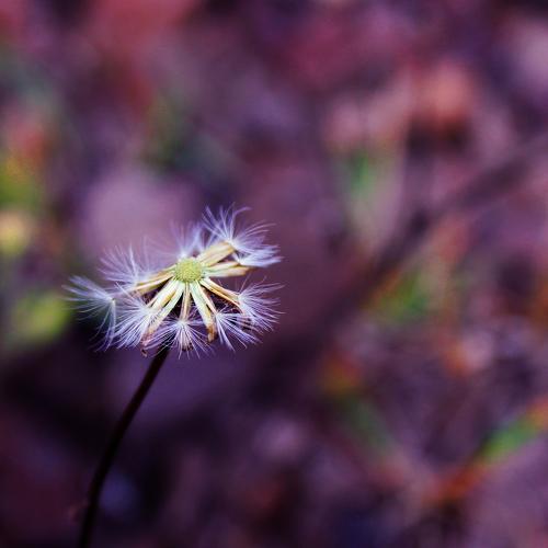 Photo #4158805