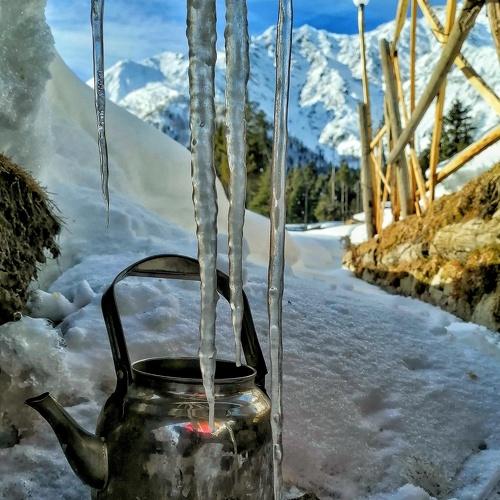 Photo #4158857