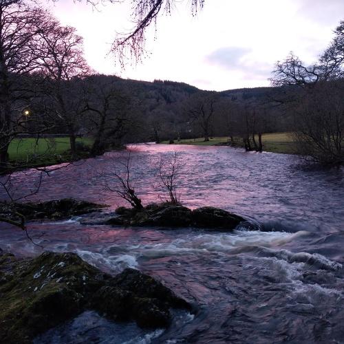 Photo #4158973