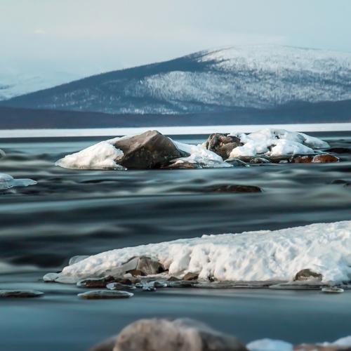 Photo #4159146