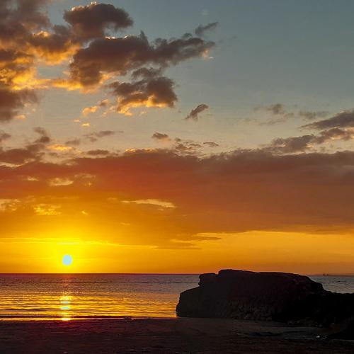 Photo #4159287